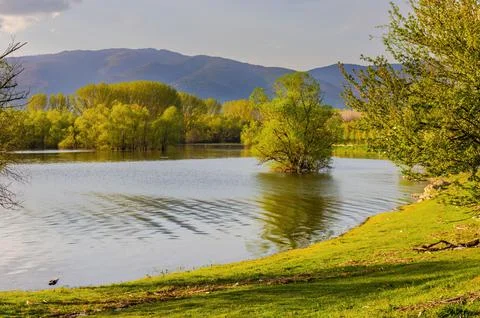 Landscape trees in water Stock Photos