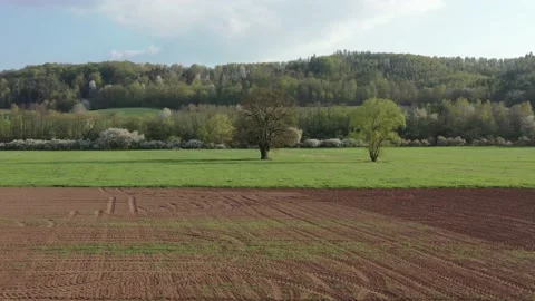 Landscape with trees in the werra valley Stock Footage 188540541