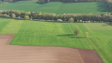 Landscape with trees in the werra valley Stock Footage 188542027