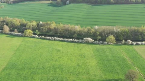Landscape with trees in the werra valley Stock Footage 188544056