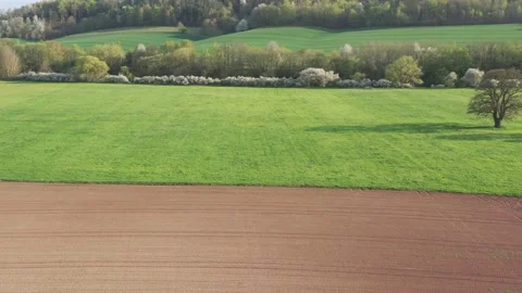 Landscape with trees in the werra valley Stock Footage 188547818