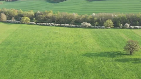Landscape with trees in the werra valley Stock Footage 188558304