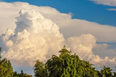 A landscape of trees of white clouds and real green trees Stock-Fotos