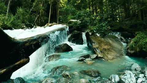 Landscape with Trunk on the River - 5K Stock Footage 158818160
