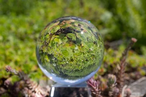 The landscape is turned upside down 库存照片