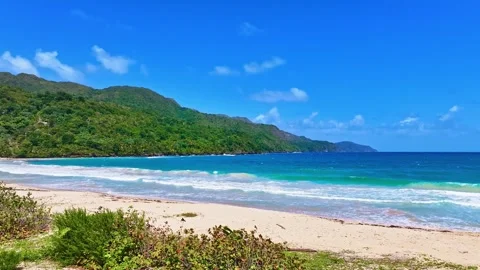 Landscape of turquoise waves breaking on the soft sands of a Caribbean beach. Video stock 332658820