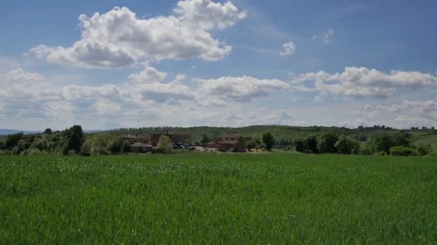Landscape of Tuscany: Fields, meadows and Vineyards on sunny day. Video stock 76064357