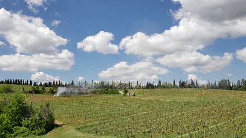 Landscape of Tuscany: Fields, meadows and Vineyards on sunny day. 库存影片 76067296