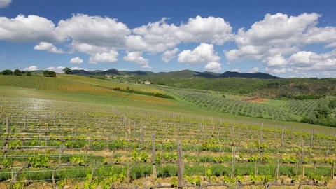 Landscape of Tuscany: Fields, meadows and Vineyards on sunny day. Stock-Footage 76071308
