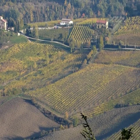 Landscape of tuscany vineyard Stock Footage 69734359