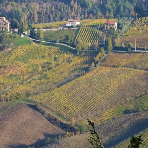 Landscape of tuscany vineyard Stock Footage 69734589
