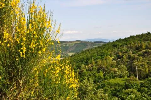 Landscape from umbria Stock Photos