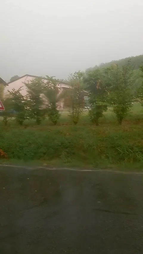 Landscape under the pouring rain Stock Footage 315229805