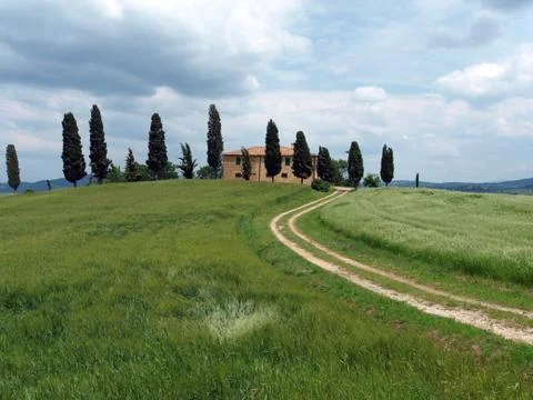 The landscape of the Val dOrcia. Stock Photos