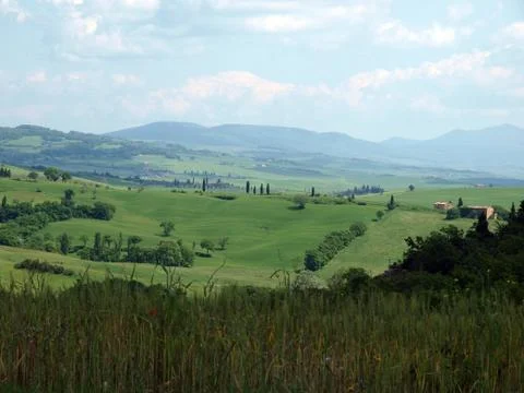 The landscape of the Val dOrcia. Stock Photos