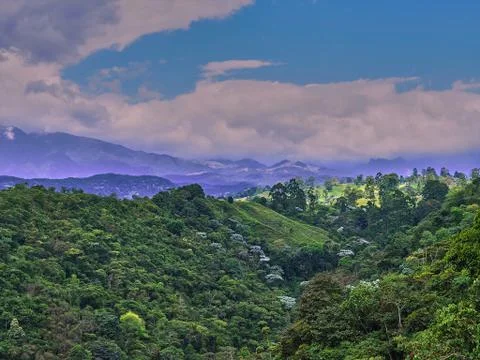 Landscape of the Valley Stock Photos