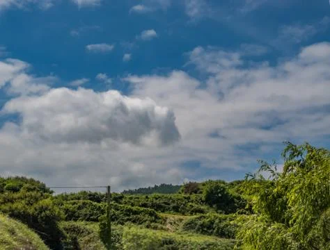 Landscape with vegetation under fluffy clouds Stock Photos
