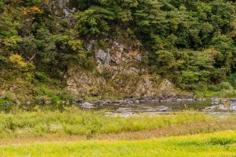 Landscape of a vertical granite wall Stock Photos