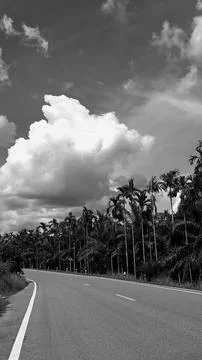 Landscape, vertical picture, white cloud vintage sky roadside, with daylight. Stock Photos