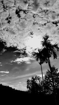 Landscape, vertical picture, white cloud vintage sky, sunlight overhead. Stock Photos