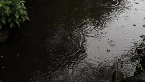 Landscape video of dark water surface with rain ripples on rainy day Stock Footage 346704014