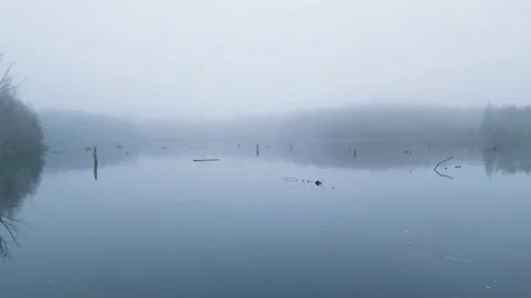 Landscape video of lake Stockbeeldmateriaal 236679714