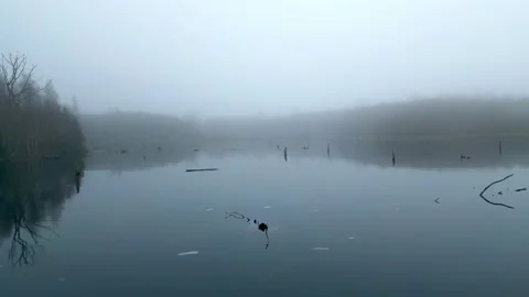 Landscape video of lake Stockbeeldmateriaal 236682469