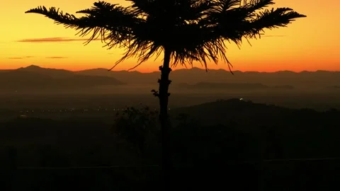 Landscape video The pine trees sway in the wind, reflecting the orange sky .. Stock Footage 256064844
