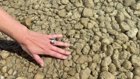 Landscape video ring hand brushing over rounded stones in green lake Stock Footage 319402702