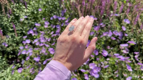 Landscape video of woman's hand with oval cut diamond ring and purple flowers. Stock Footage 314736436
