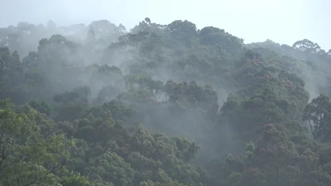 Landscape, Vietnam 스톡 동영상 128332443
