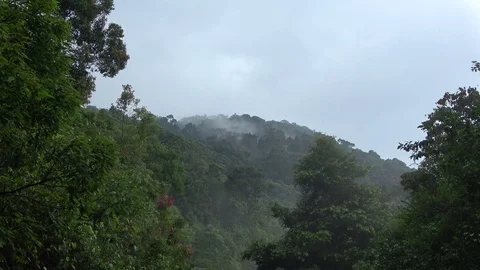Landscape, Vietnam Video stock 128332466