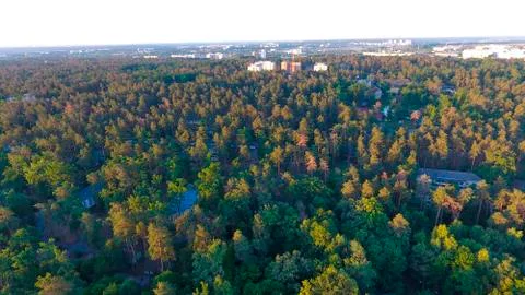 Landscape, view from above, forest Stock Photos
