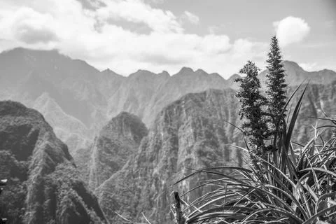 Landscape view of the andes mountain range from Machu Picchu in Peru in black Foto stock