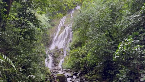 Landscape view of area around Chorro El Macho Waterfall Stock Footage 320114433