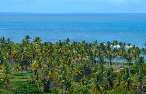Landscape view from Arraial d'Ajuda - Bahia Stock Photos