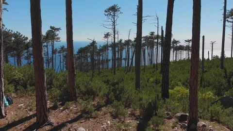 Landscape view of beach and blue sea under mountain slope on sunny summer day Stock-Footage 104153835