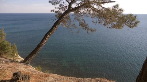 Landscape view of the beach under the pines and calm blue sea at sunset. 4k Vídeo Stock 89866939