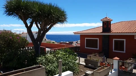 Landscape view with big yucca tree and a house and blue ocean at horizon Stock Footage 220354795