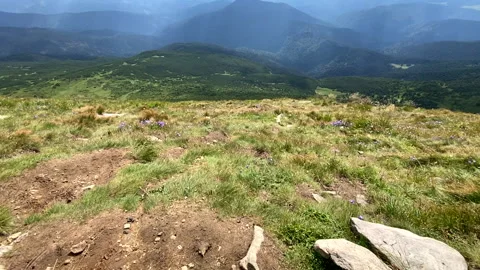 Landscape view of carpathian mountains Stock Footage 206327632
