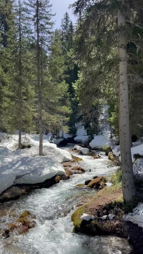 Landscape view with a cascade in nature by spring Stock Footage 334443720