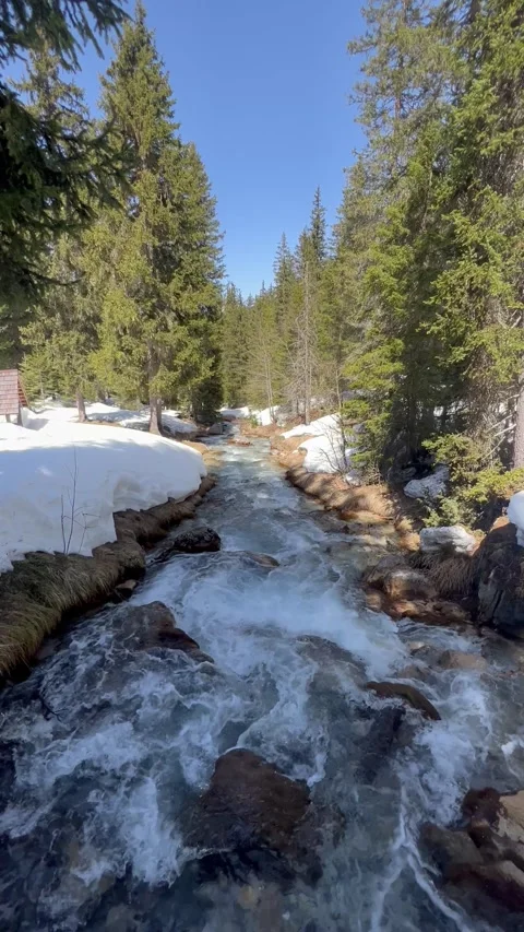 Landscape view with a cascade in nature by spring Stock Footage 334443725