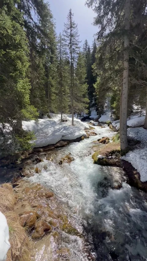 Landscape view with a cascade in nature by spring Stock Footage 334443728