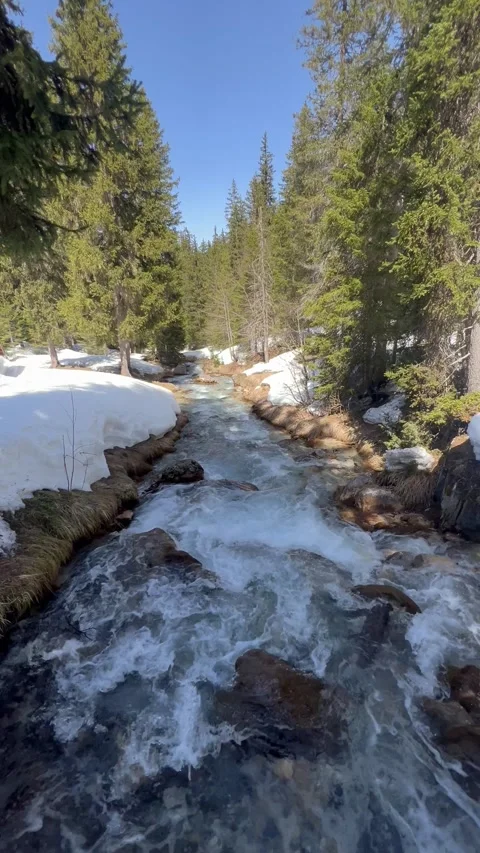 Landscape view with a cascade in nature by spring Stock Footage 334443745
