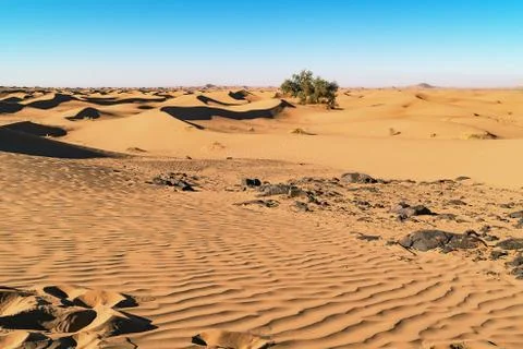Landscape View of Chigaga Sand Dunes Stock Photos