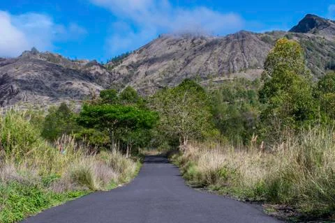 A landscape view of cloud covered Mount Batur from the tree surrounded road Stock Photos