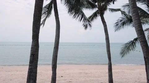 Landscape view coconut tree near the beach side with cloudy sky, summer vacat Stock Footage 200777629