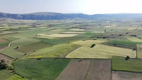 Landscape view with drone in the fields Stock Footage 312431134