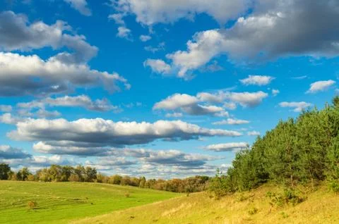 Landscape view at the edge of pine forest with beautiful sky and meadows Stock Photos