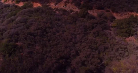 Landscape view of empty winding mountain road Stock Footage 136341604